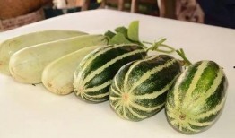 吃网红瓜的网站朝阳,朝阳网站带你领略网络八卦风云